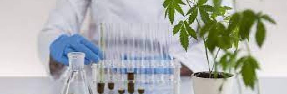 Cannabis Industry Software Market Growing Demand and Huge Future Opportunities by 2033 Cover Image