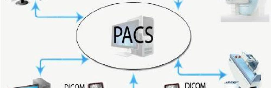 Picture Archiving and Communication System (PACS) Market Growing Demand and Huge Future Opportunities by 2033 Cover Image