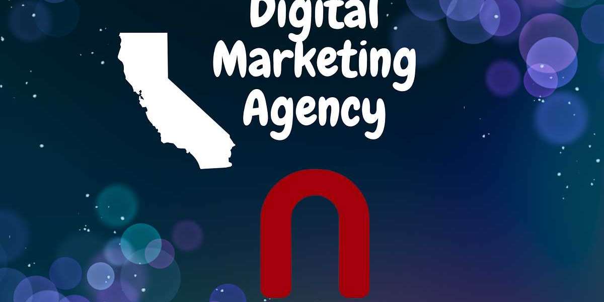Namami INC - Leading Digital Marketing Agency In California