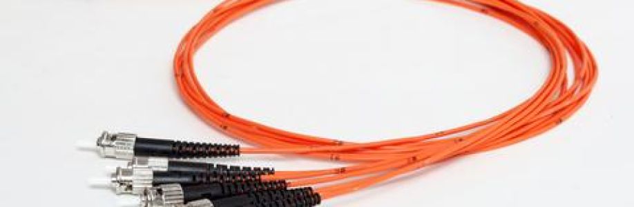 Fiber Cable Termination Market Growth Statistics, Size Estimation, Emerging Trends, Outlook to 2030 Cover Image