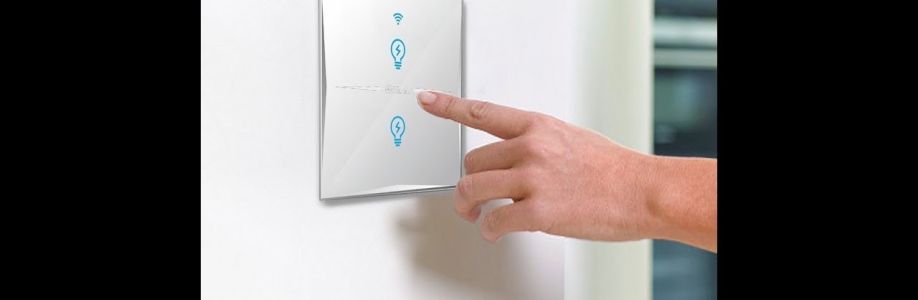 Smart Switches Market Growth Statistics, Size Estimation, Emerging Trends, Outlook to 2030 Cover Image