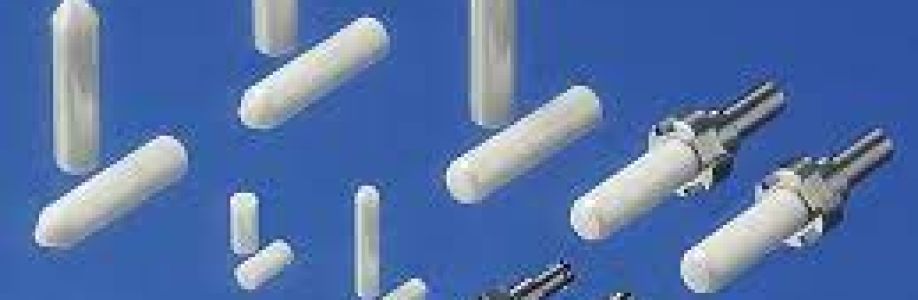 Ceramic Ferrule Market Demand and Growth Analysis with Forecast up to 2030 Cover Image