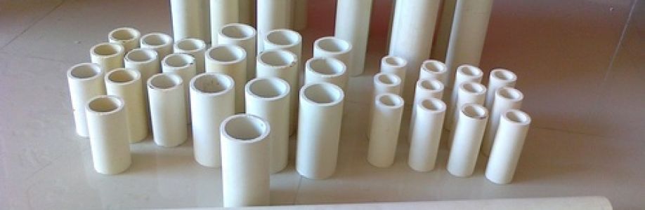 Ceramic Sleeves Market Statistics, Key Players, Sales Growth, Size Projection and Market Overview by 2030 Cover Image