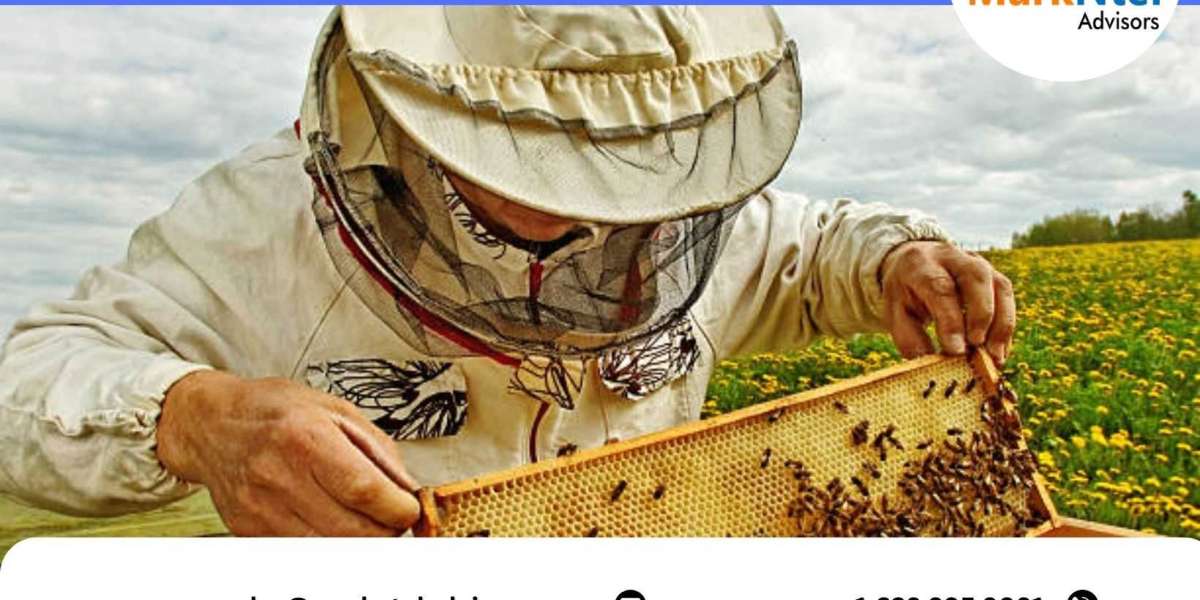 Apiculture Market Analysis 2022-27: Top Segment, Geographical, Leading Company, and Industry Expansion