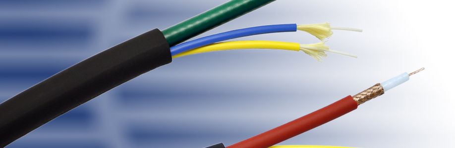Hybrid Fiber Coaxial Network Market Future Landscape To Witness Significant Growth by 2030 Cover Image