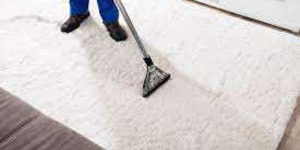 Unveiling the Incredible Benefits of Professional Carpet Cleaning
