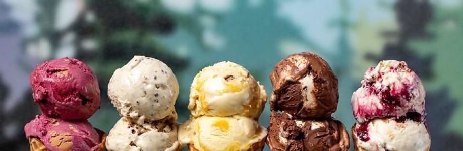 America Artisanal Ice Cream Market is Expected to Gain Popularity Across the Globe by 2030 Cover Image