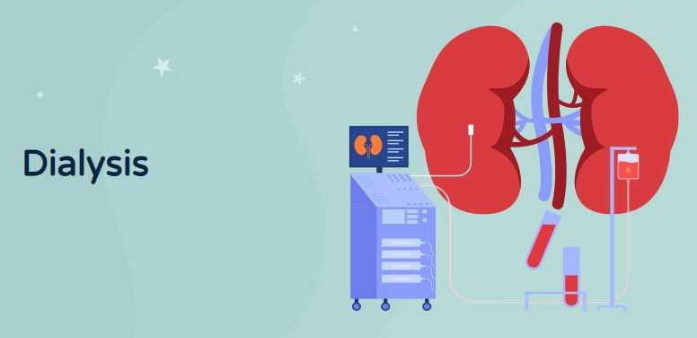Forget Dialysis The Promising Power Of Sea Water For Kidneys - p96bvnw