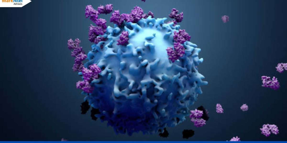 Immuno-Oncology Assay Market Analysis 2023-2028 | Current Demand, Latest Trends, and Investment Opportunity