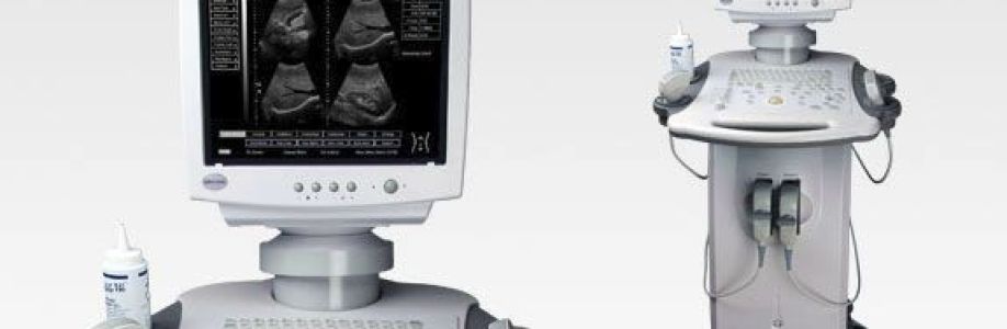 Global Multipurpose Ultrasound Imaging System Market Size, Share & Forecast USD multi-million by 2030 Cover Image