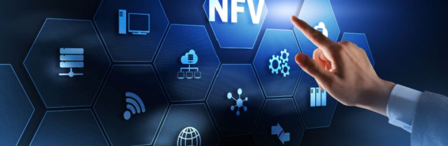 Network Functions Virtualization Market is Expected to Gain Popularity Across the Globe by 2030 Cover Image