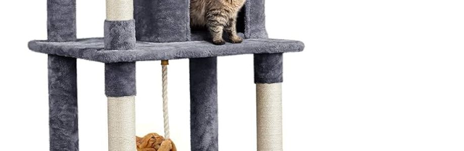 Cat Climbing Frame Market growth projection to 2.9% CAGR through 2030 Cover Image