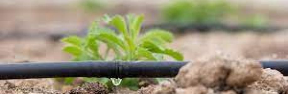 Drip Irrigation Systems Market will reach at a CAGR of 11.0% from 2023 to 2033 Cover Image