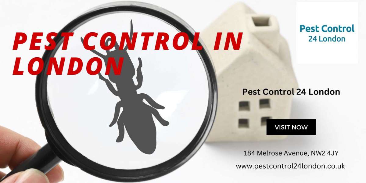 Pest control London: An effective solution to keep your space pest-free