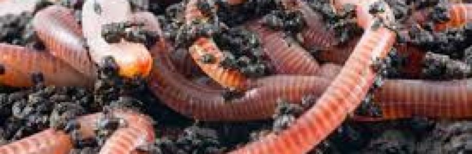 Earthworm Farming Market is expected to grow at a CAGR of 13.5% from 2023 to 2033 Cover Image