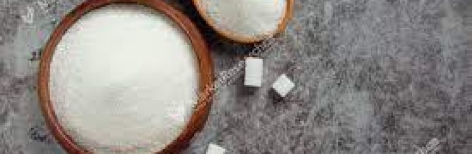 Organic Sugar Market Size is Expected to total US$ multi-million by 2033 Cover Image