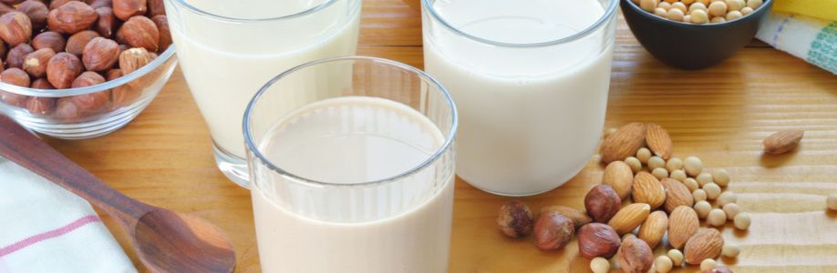 Dairy Alternative Drinks Market will reach at a CAGR of 12.45% from 2023 to 2033 Cover Image