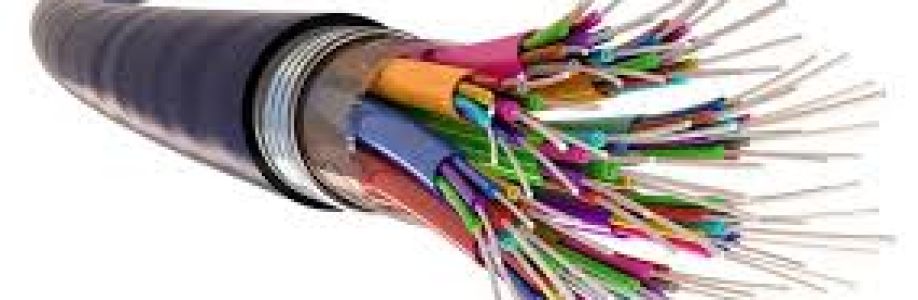 Fiber Optics Cable Market Size, Share & Forecast USD 48.11 billion by 2033 Cover Image