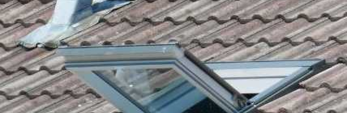 321 New Roof Inc Cover Image