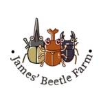 James Beetle Profile Picture