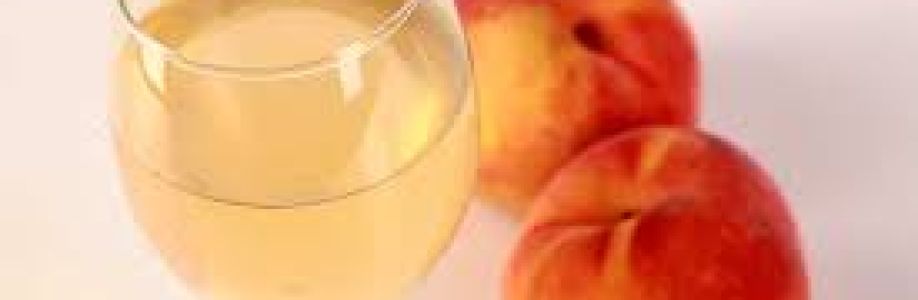 Peach Wine Market growth projection to 4.15% CAGR through 2033 Cover Image