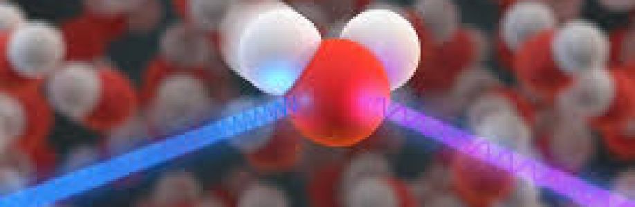 Homogeneous Catalyst Market growth projection to 4.3% CAGR through 2033 Cover Image
