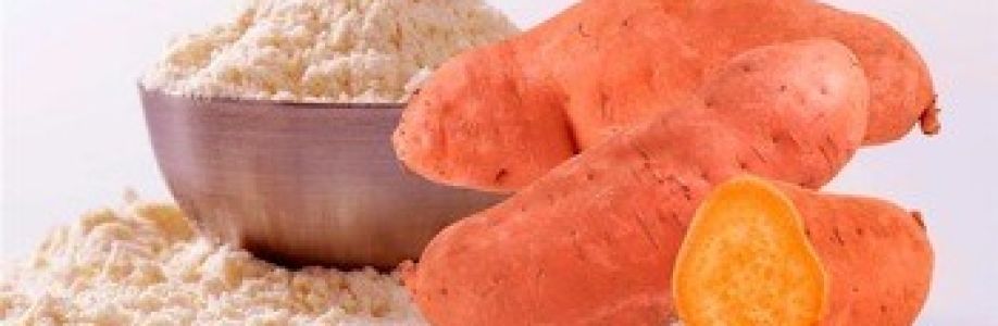 Sweet Potato Starch Market is expected to grow at a CAGR of 4.75% from 2023 to 2033 Cover Image