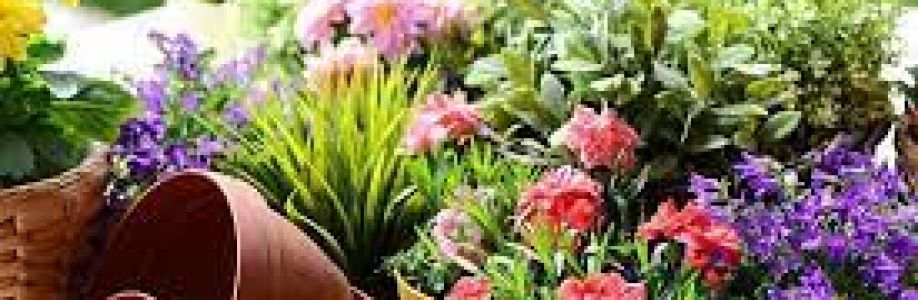 Flower and Ornamental Plants Market Foreseen to Grow Exponentially by 2033 Cover Image