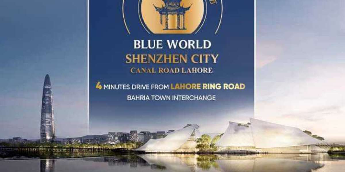 The Ultimate Traveler's Handbook to Blue World Shenzhen City