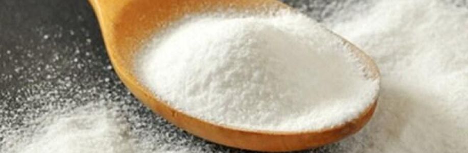 Tartaric Acid Market Positioning and Growing Industry Share Worldwide to 2033 Cover Image