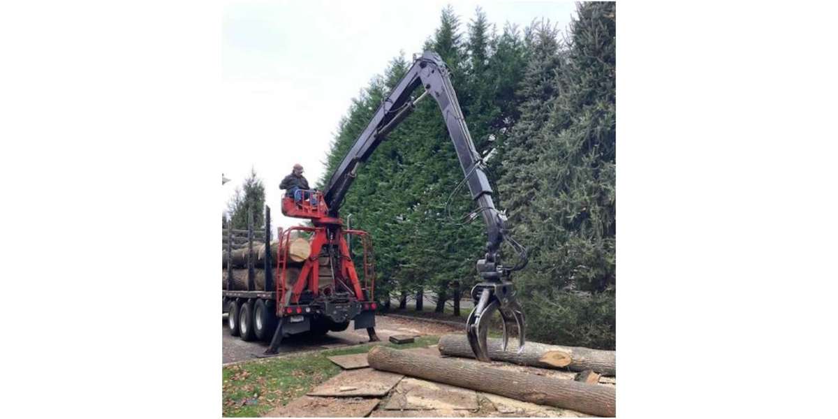 Essential Considerations for Choosing Large Tree Pruning Services in Wilton, CT