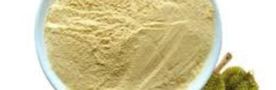 Durian Powder Market Size, Trends, Scope and Growth Analysis to 2033 Cover Image