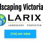 Larix Landscape