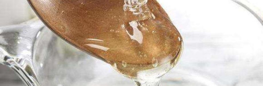 Starch Syrup Market is Estimated to Perceive Exponential Growth till 2033 Cover Image