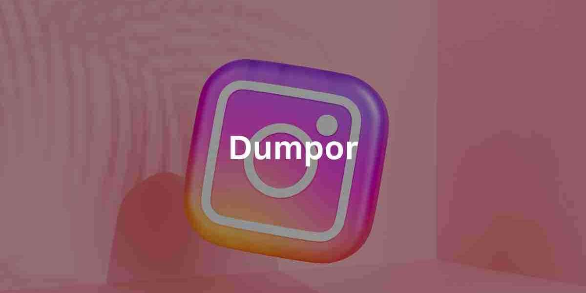 Dumpor: Instagram Story Viewer Anonymously
