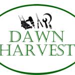 Dawn Harvest Profile Picture