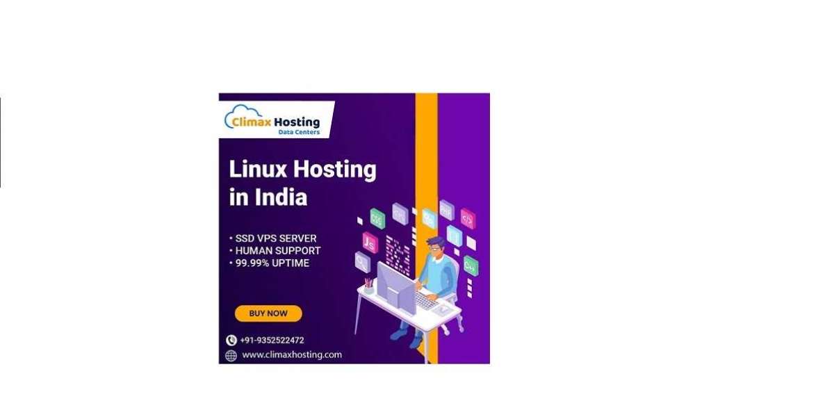 The Smart Choice: Linux Hosting for Indian Entrepreneurs