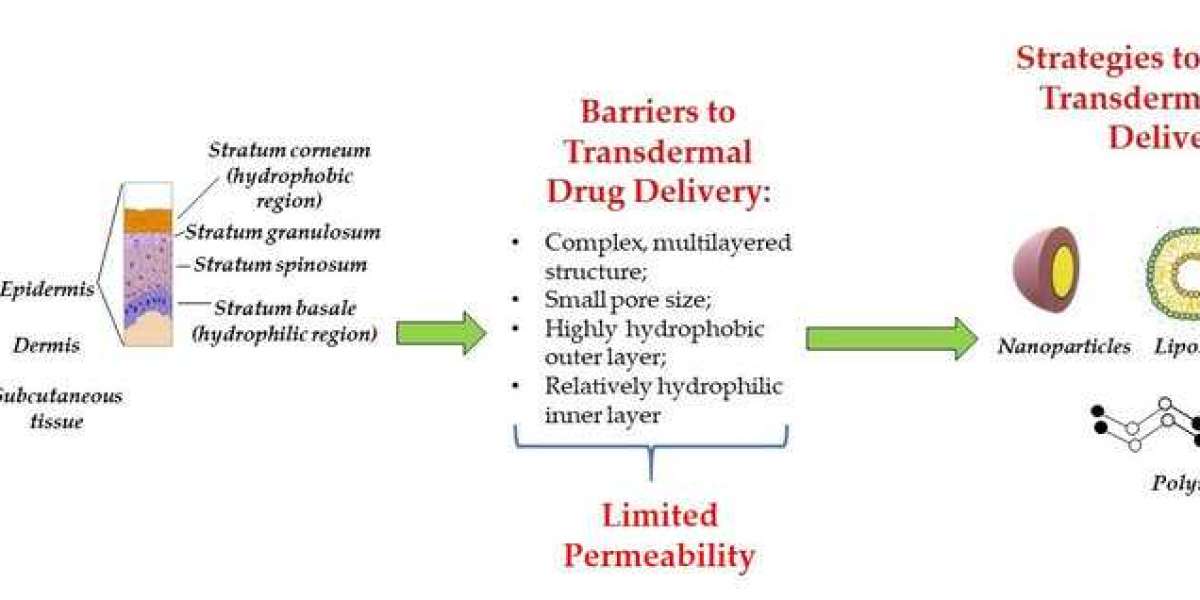 Research on the Application of Nanoformulation in Transdermal Drug Delivery System