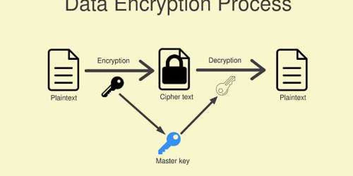 Data Encryption Market Size, Share | Global Growth Report [2032]