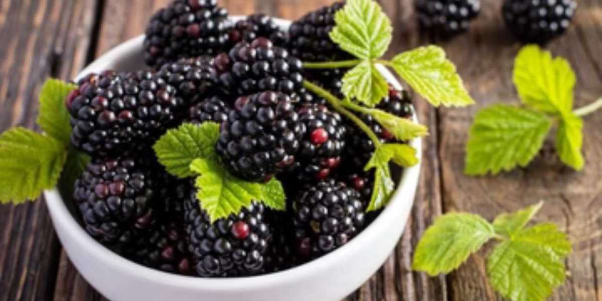 Amazing Blackberry Benefits For Healthy Lifestyle