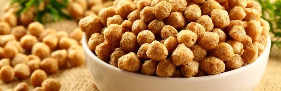 Soy Chunks Market With Manufacturing Process and CAGR Forecast by 2033 Cover Image
