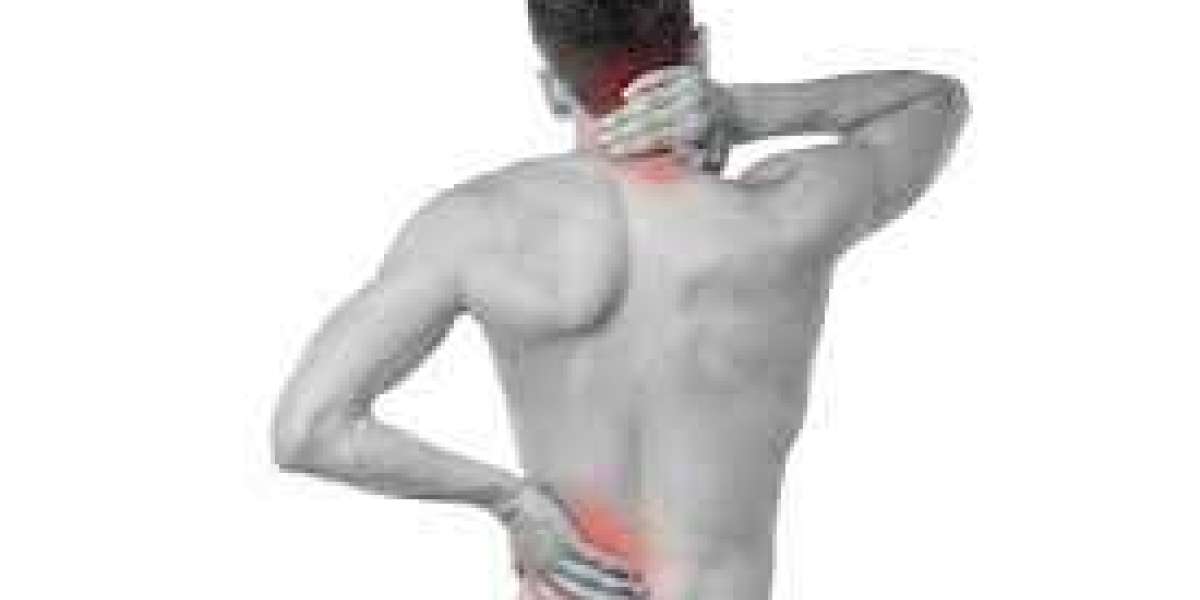 The Ultimate Guide to Alleviating Back Pain Through Lifestyle Adjustments