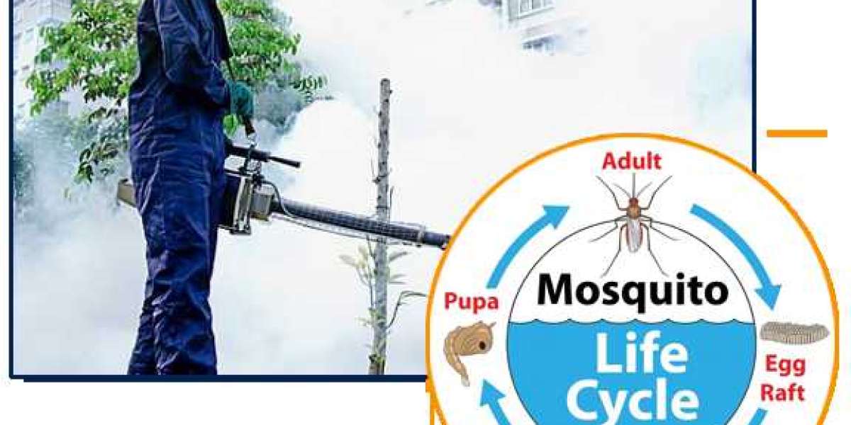 Mosquito Pest Control Services in Hyderabad