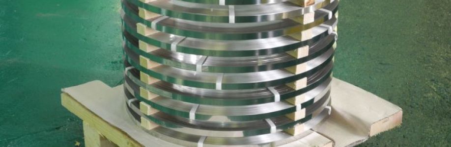 Precision Stainless Steel Strip Market Size, Share, Trends and Future Scope Forecast 2030 Cover Image