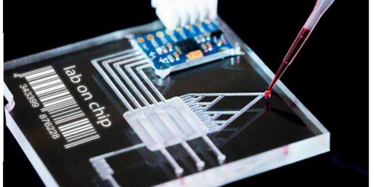 Future Prospects of Microfluidic Chip Applications in the In Vitro Diagnostics Field