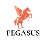 pegasusfunding Profile Picture