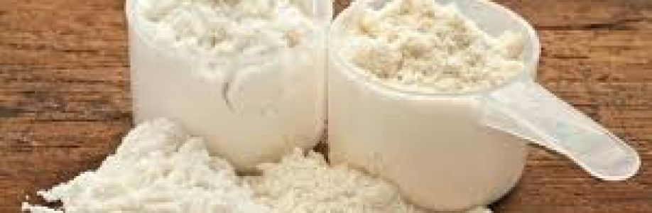 Milk Protein Concentrate MPC Market is Estimated to Perceive Exponential Growth till 2033 Cover Image