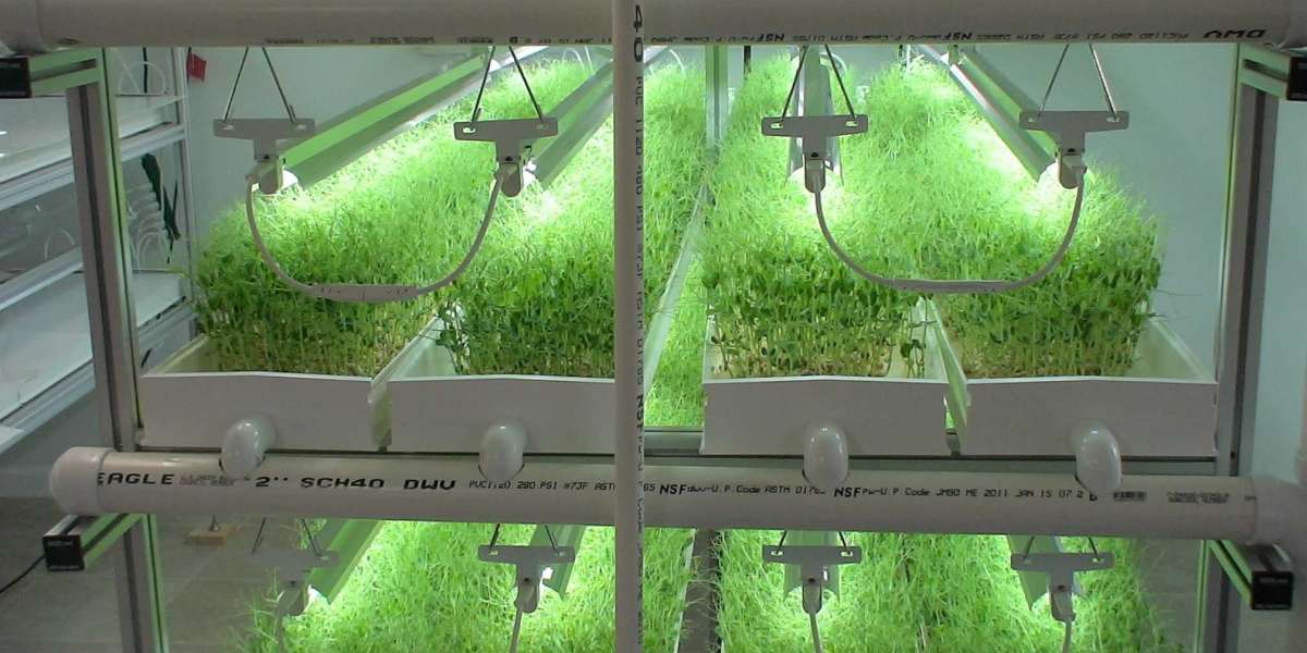 Hydroponic Substrate Market Analysis, Trends, Forecast, 2021-2031