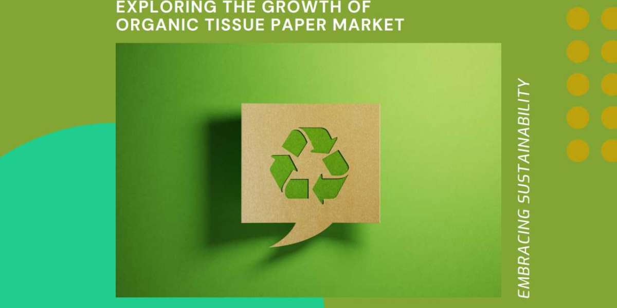 US Organic Tissue Paper Market Research Revealing The Growth Rate And Business Opportunities To 2032