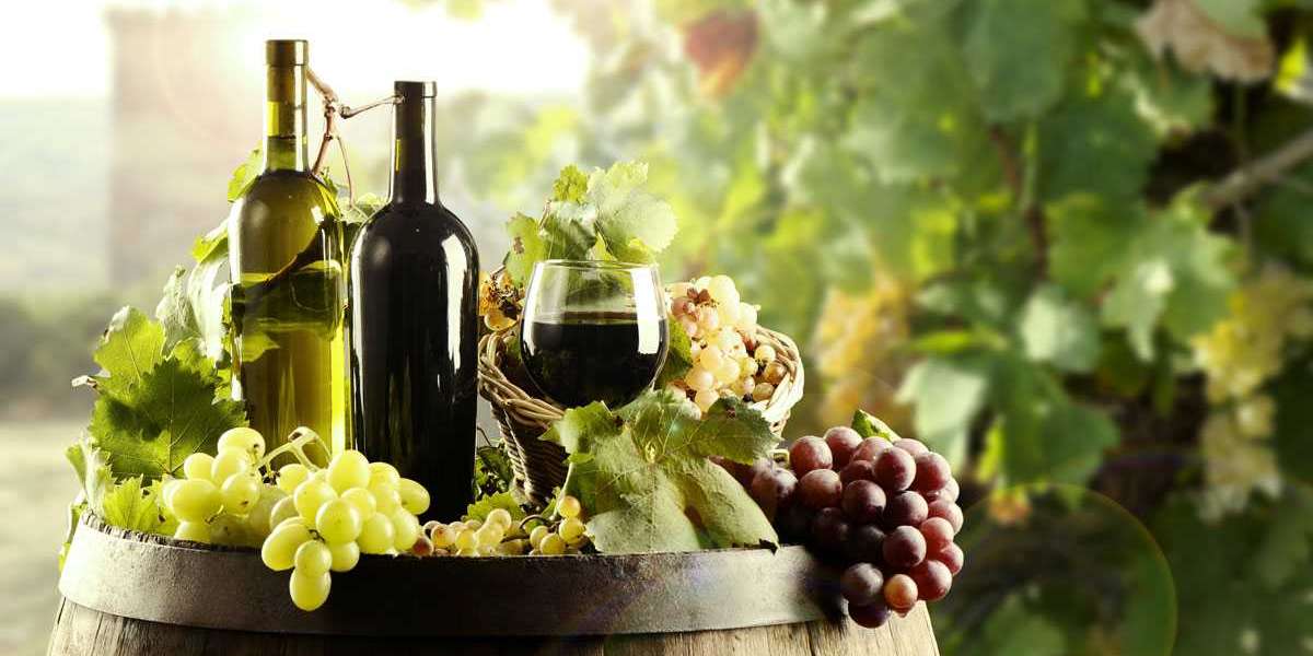 Organic Wine Market Status,Growth,Trends and Outlook – 2030